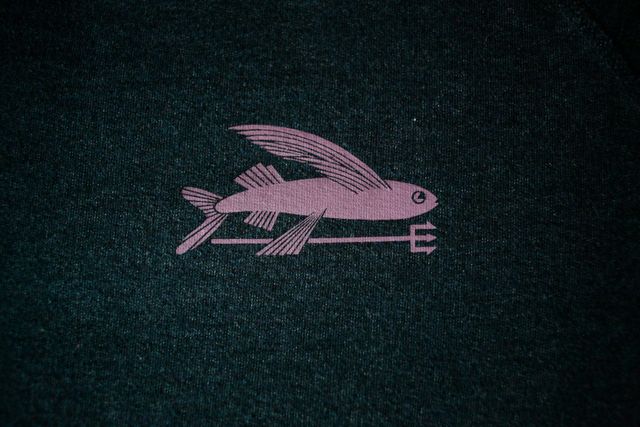 Patagonia flying best sale fish logo meaning