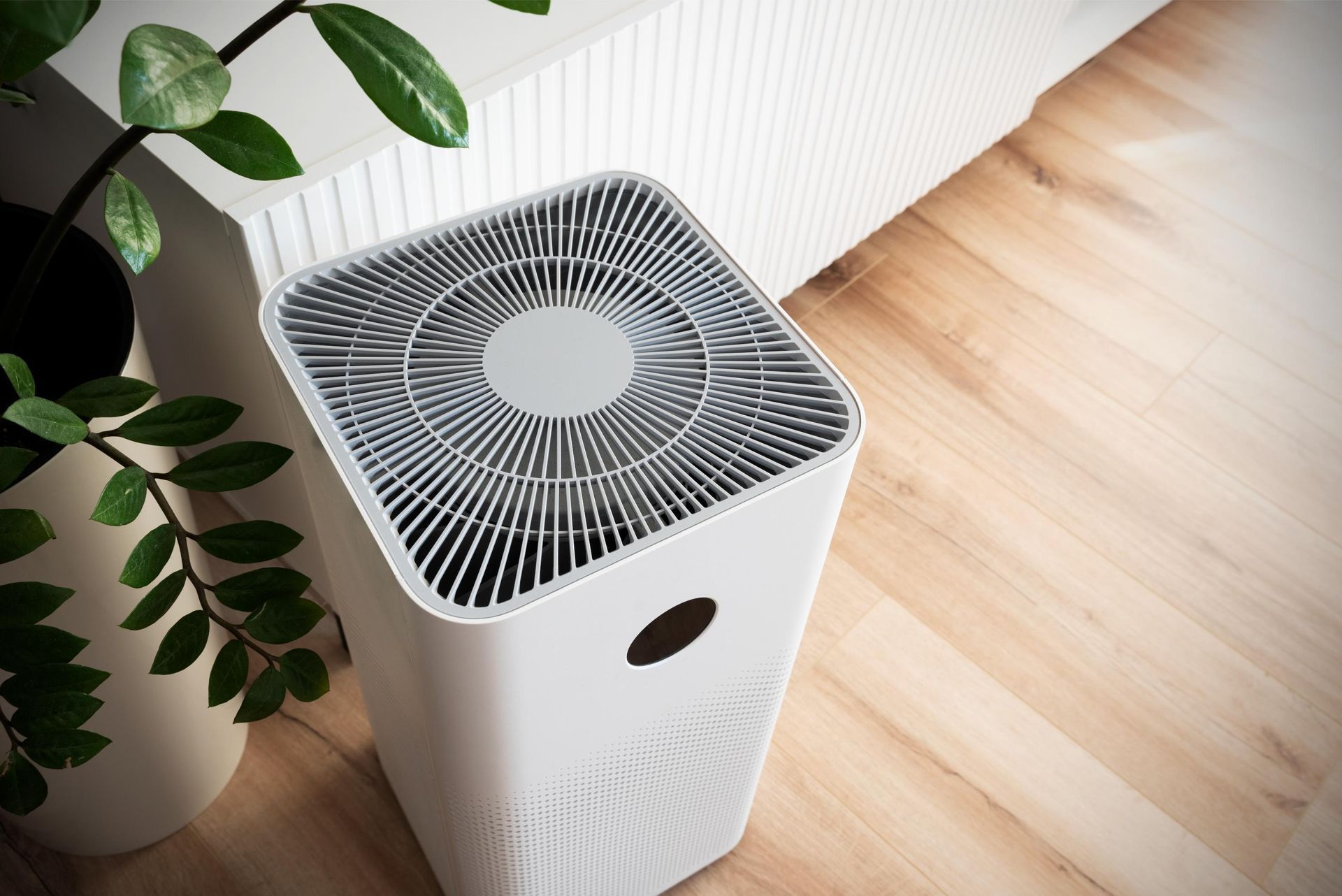 White air purifier on wooden floor, near a potted plant.