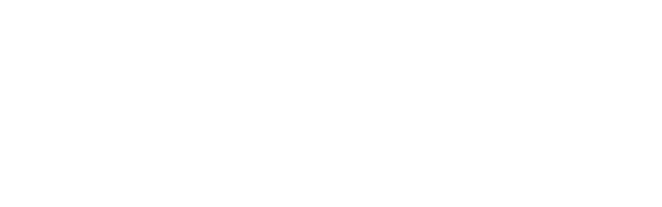 logotipo de licenciada Virginia Mansilla