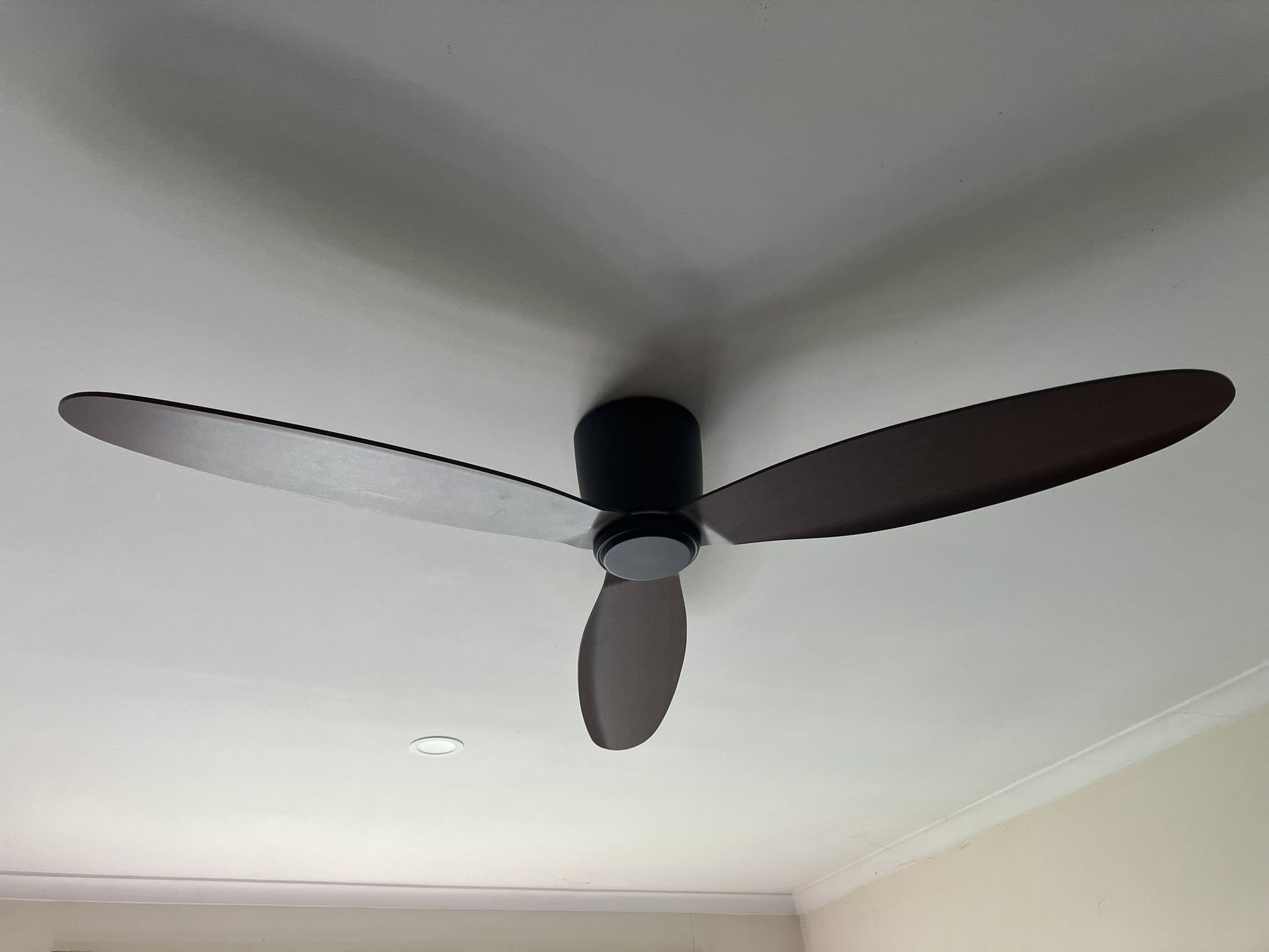 Ceiling fan with three dark brown blades against a white ceiling.