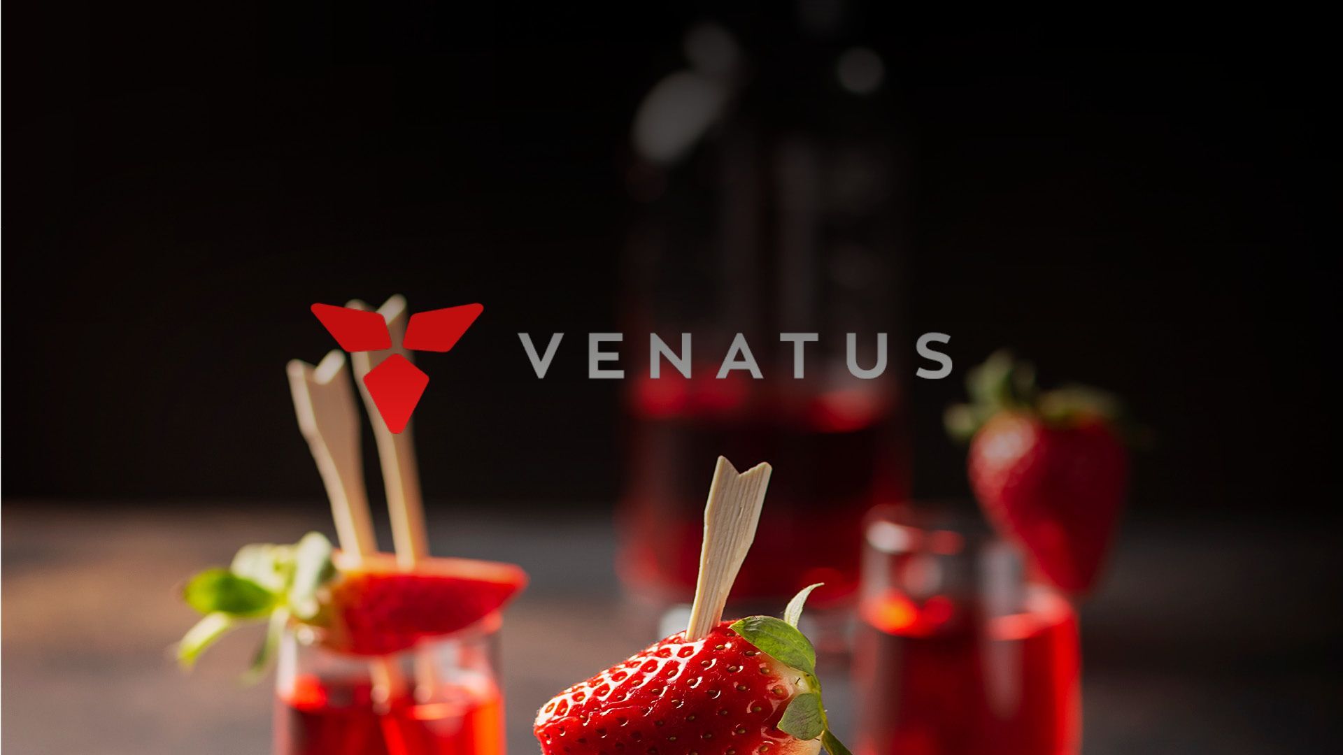 Desenvolvimento de marca e branding para empresa de bebidas Venatus.