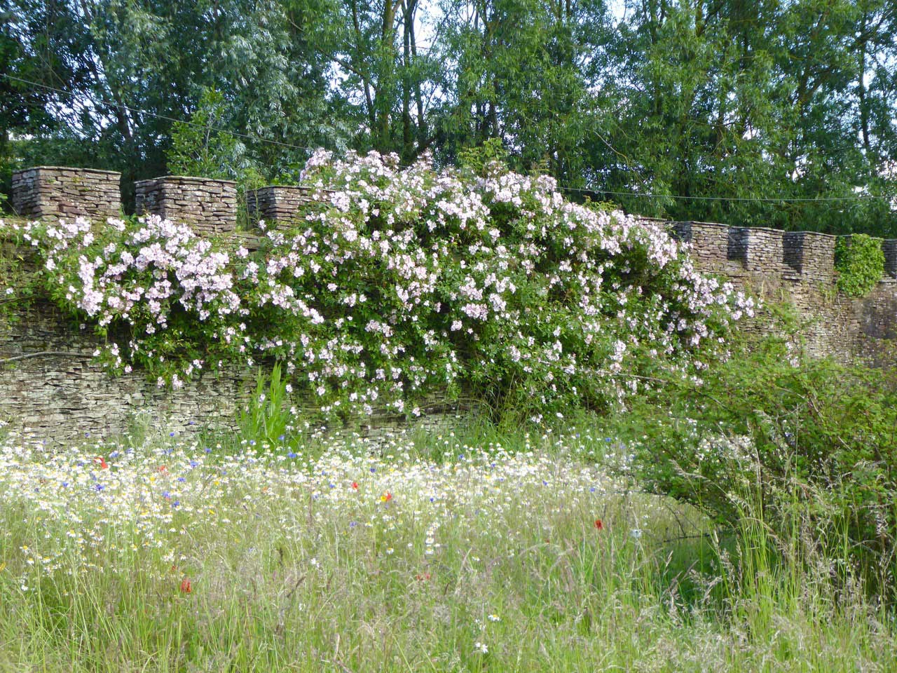 National Gardens Scheme 2019