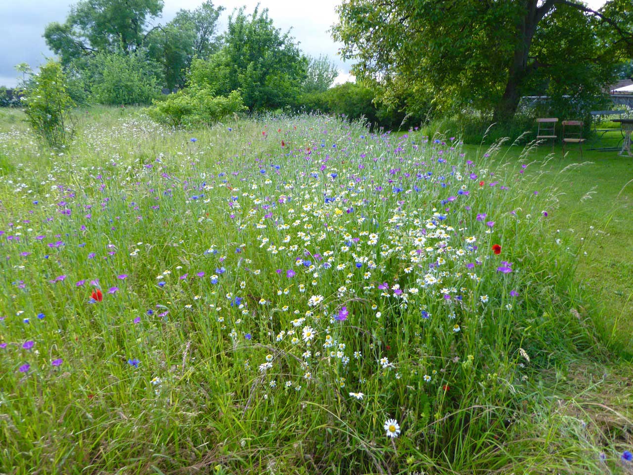 National Gardens Scheme 2019