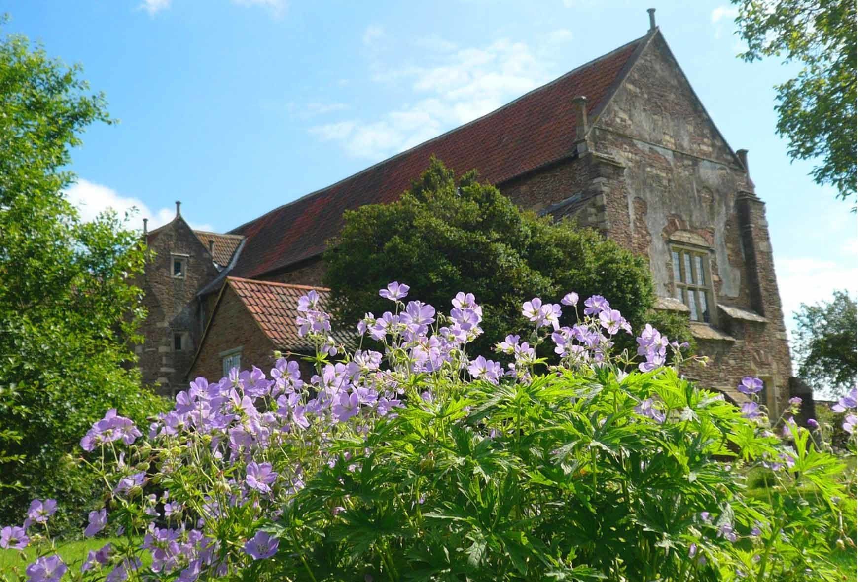 Wild Geraniums at Acton Court