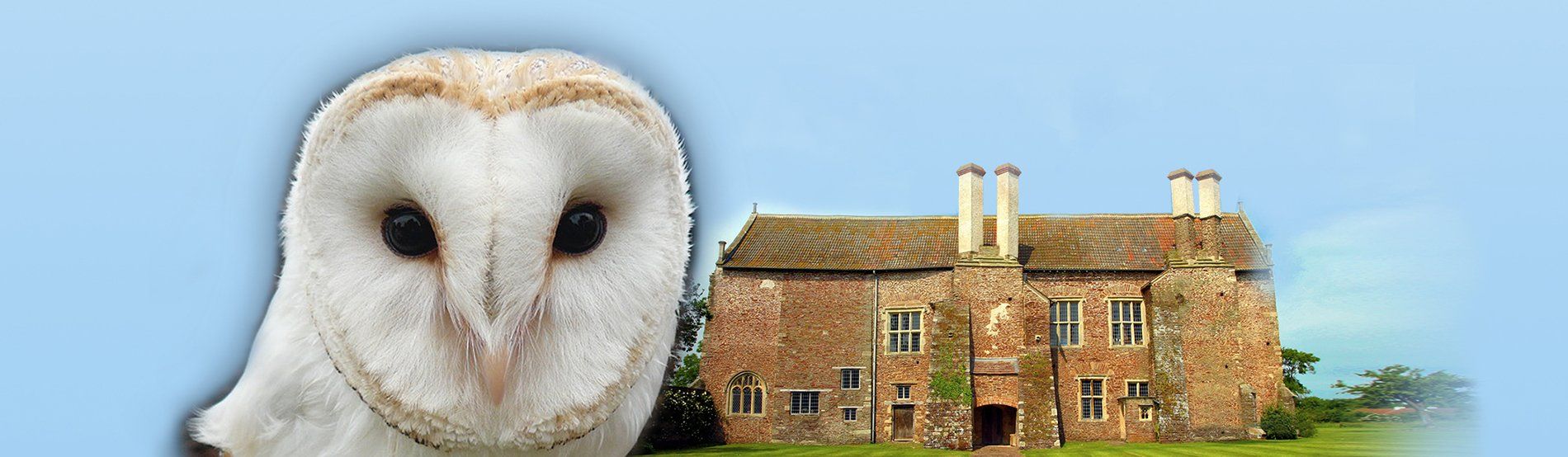Acton Court  Hawk and Owl Trust