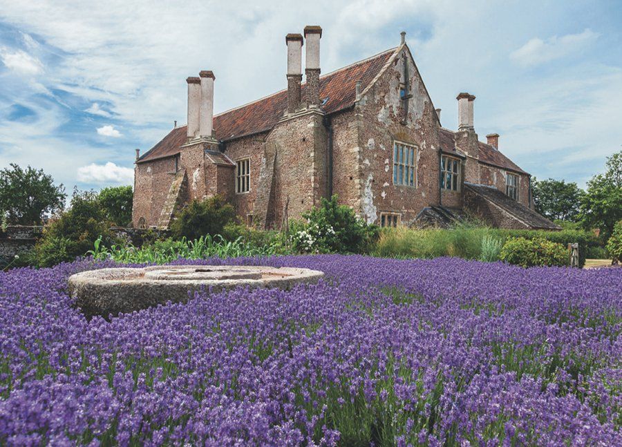 Acton Court house and grounds