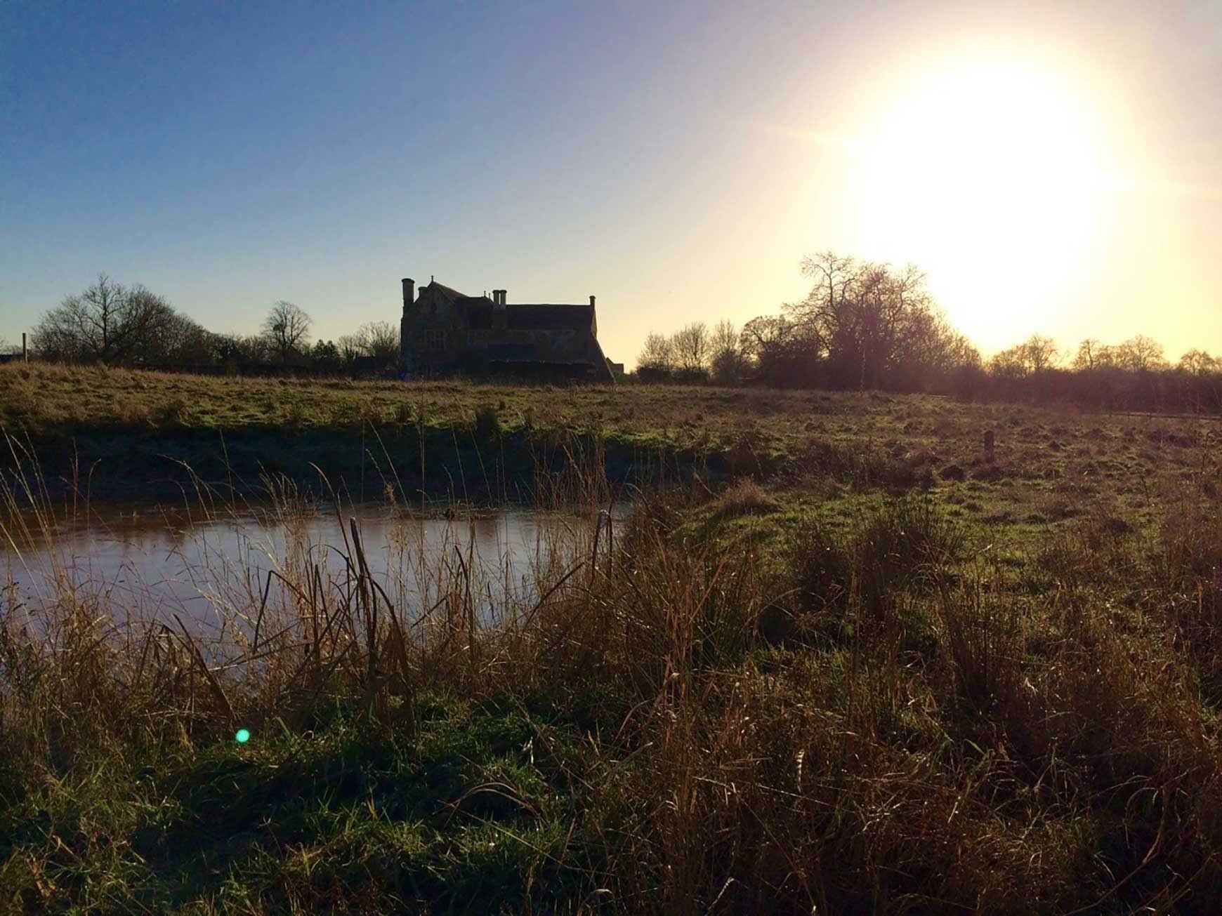 Dew pond at Acton Court