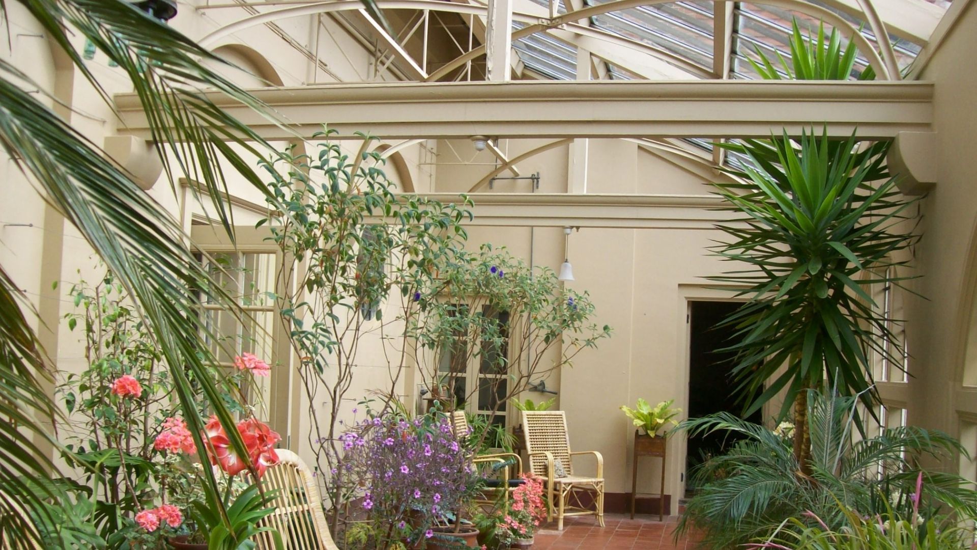 Bright indoor atrium filled with tropical plants, flowers, and hanging greenery under a glass roof