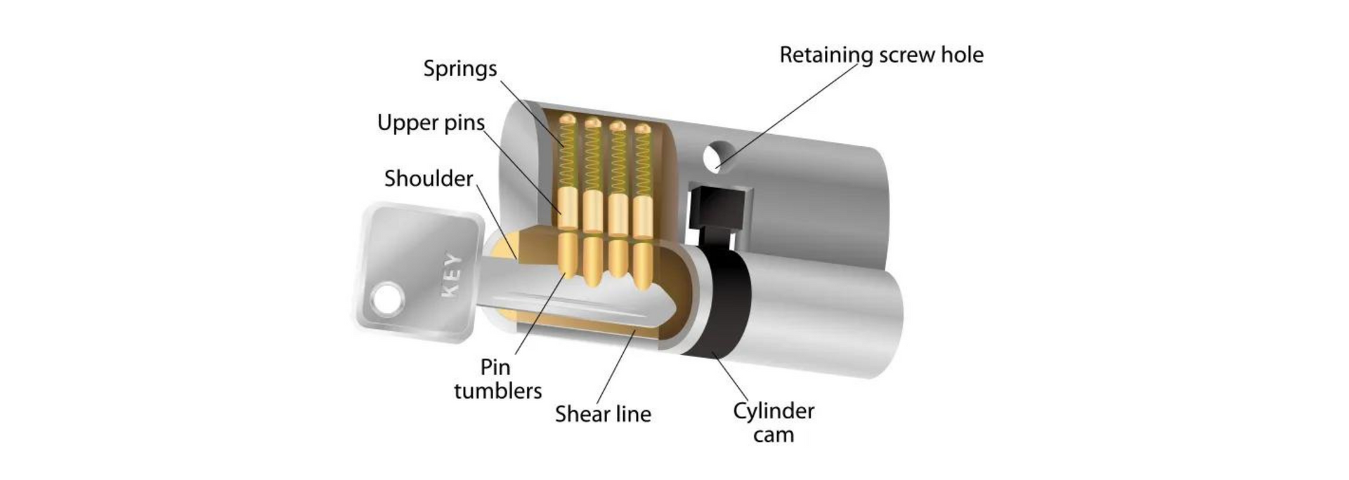 Cutaway diagram of a cylinder lock showing tumblers and key pins inside