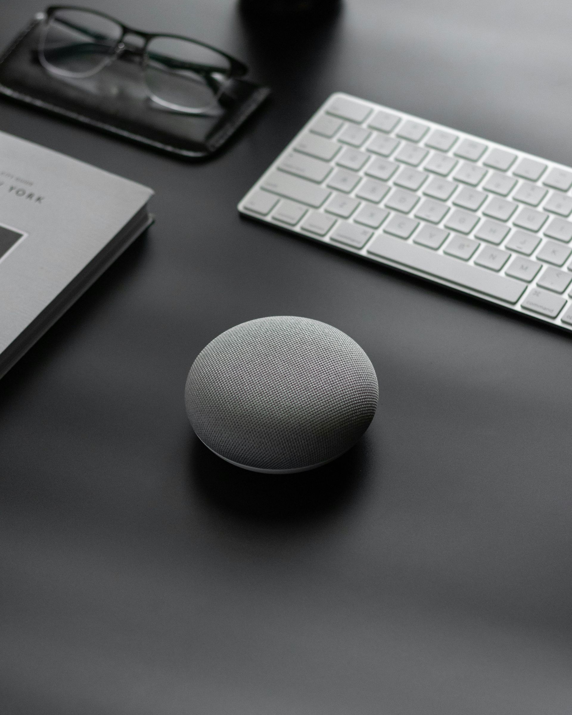 google home