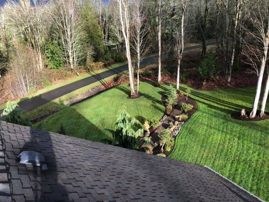 Top View of Backyard with Trees — Seattle, WA — Green Town Landscaping LLC