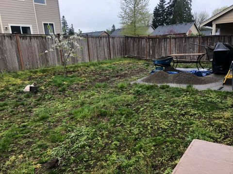 Yard with Grass for Clean-up — Seattle, WA — Green Town Landscaping LLC