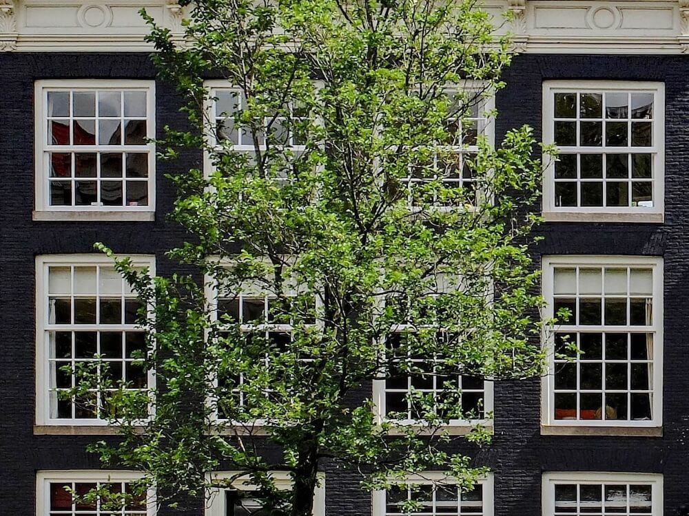 True Divided Light Windows