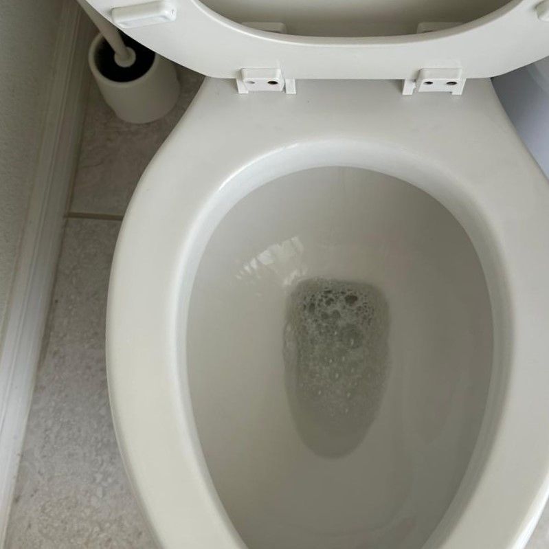 Open toilet with a small amount of water in the bowl and a toilet paper roll on the left