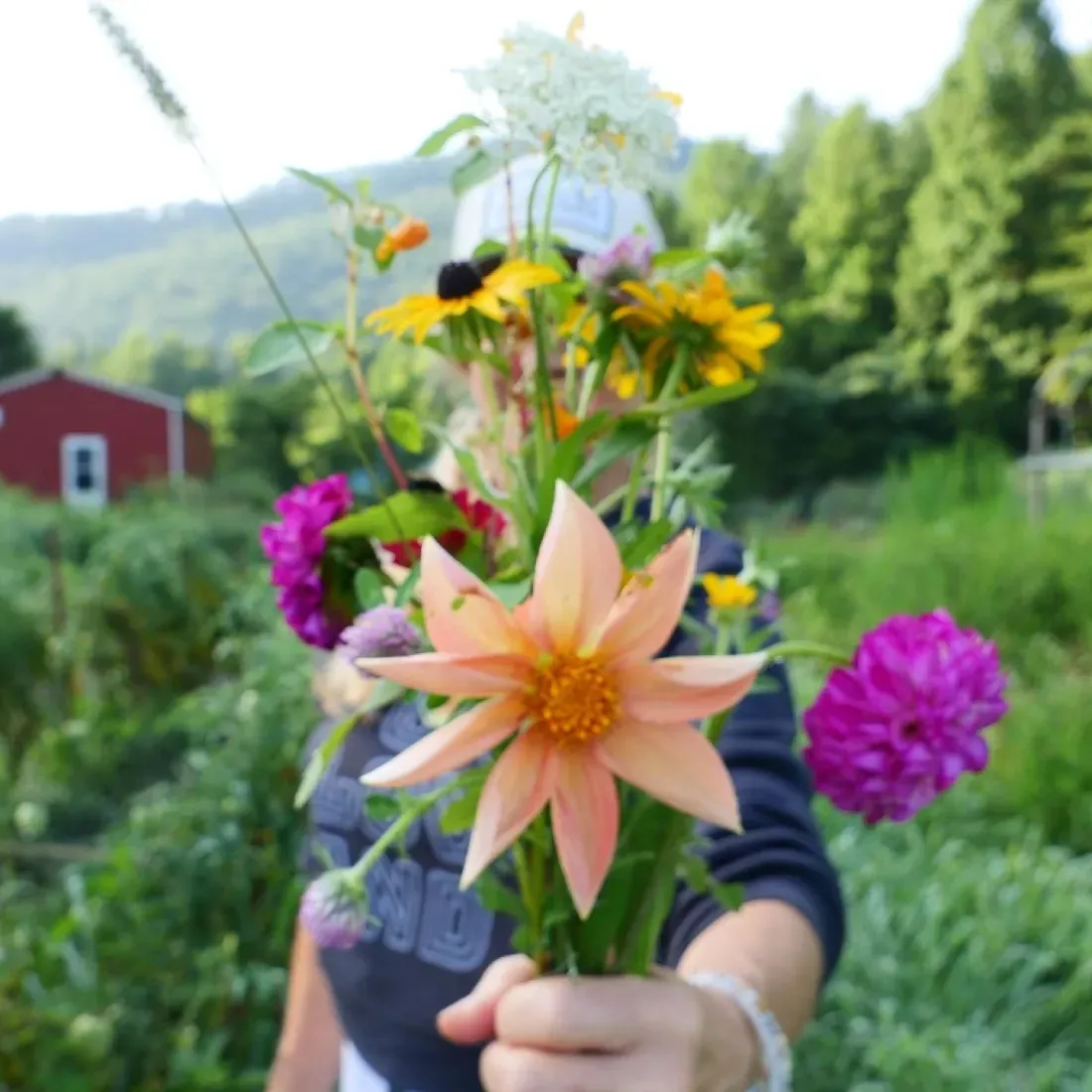 Franny Tacy holds a bunch of fresh cut flowers to the camera standing outside on her farm in Asheville