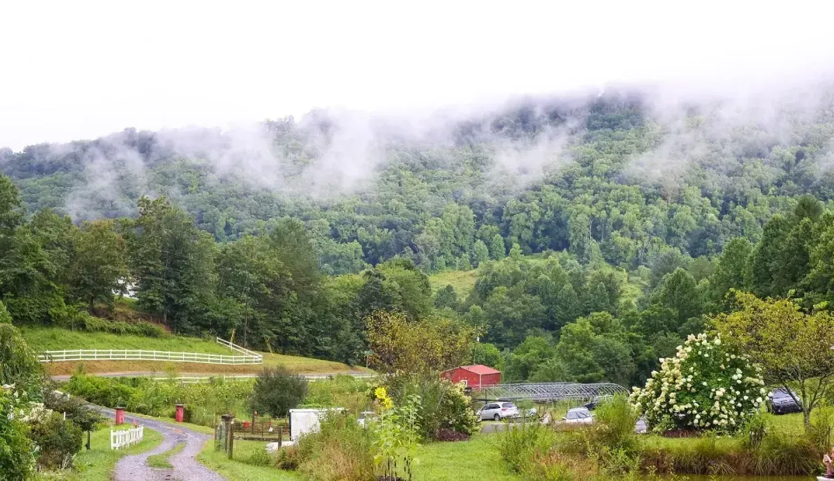 Green trees and hills shrouded in low-lying fog, with a road and Franny's Farm in the foreground.
