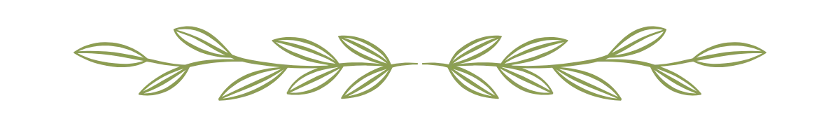 Two mirrored olive branch design, light green leaves.