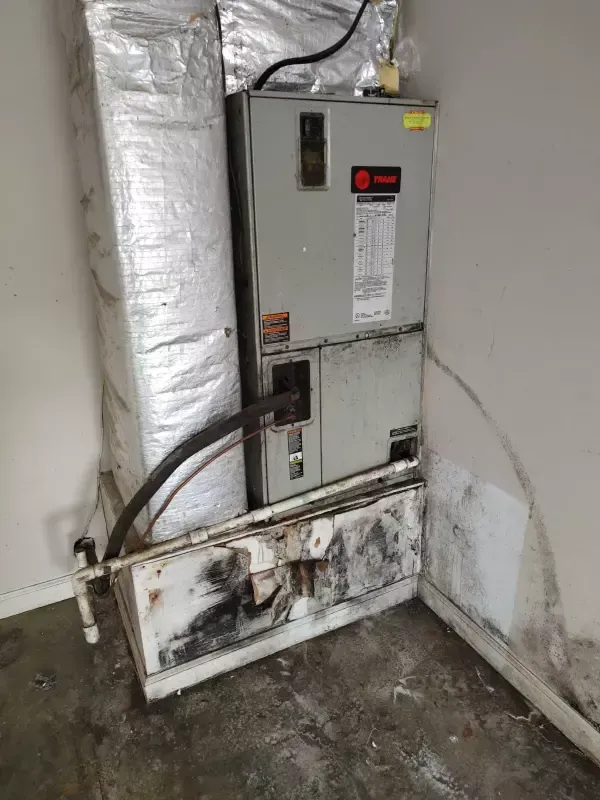 Justin Moore Indoor Before