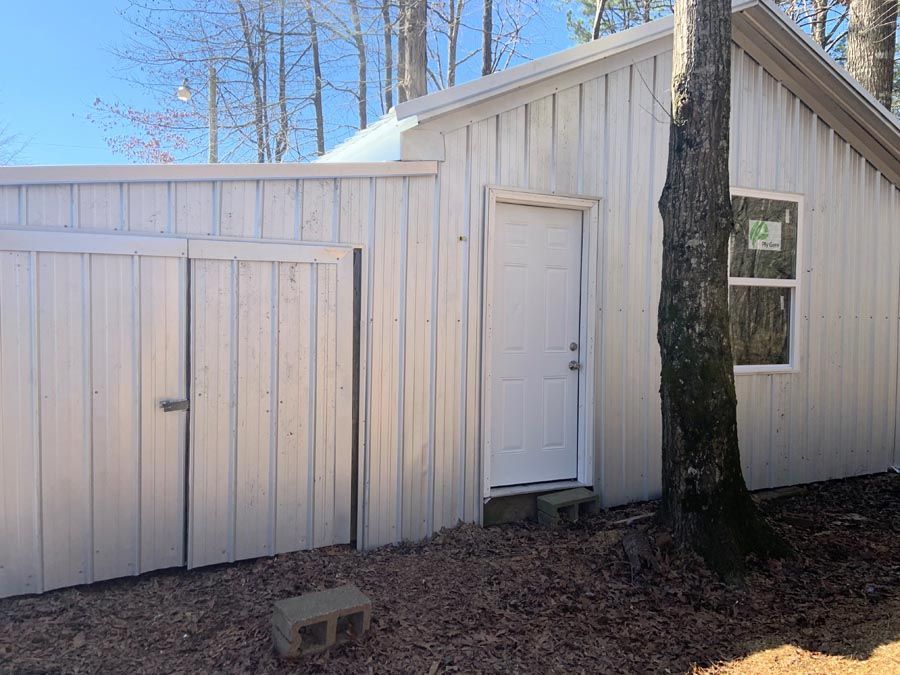 A white shed with a door and a window in the backyard.