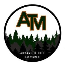 Advanced Tree Management