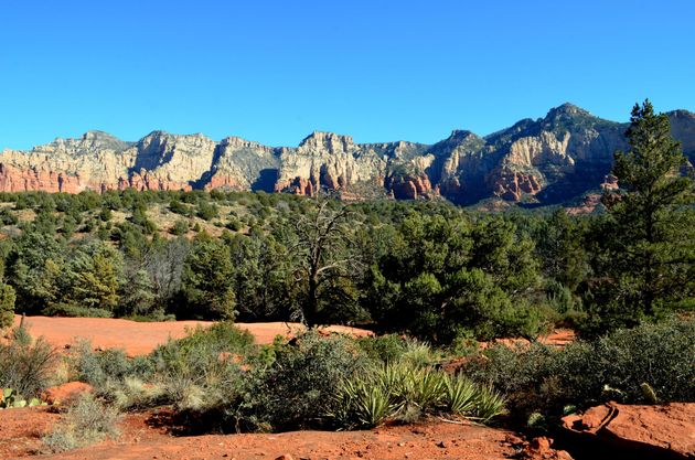 Desert landscape with red soil, green shrubs, pine trees, and rocky mountains under a clear blue sky