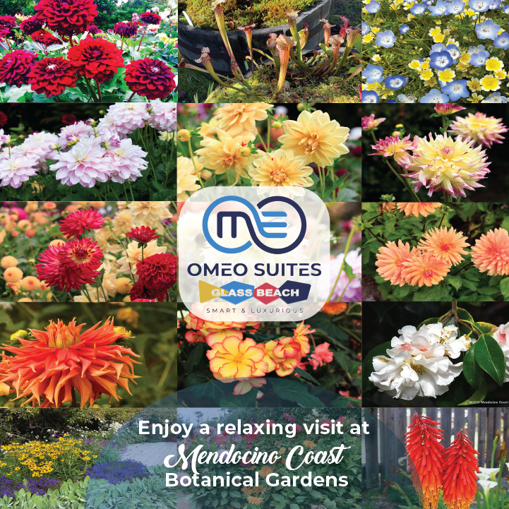 Omeo Mendocino Coast Botanical Garden