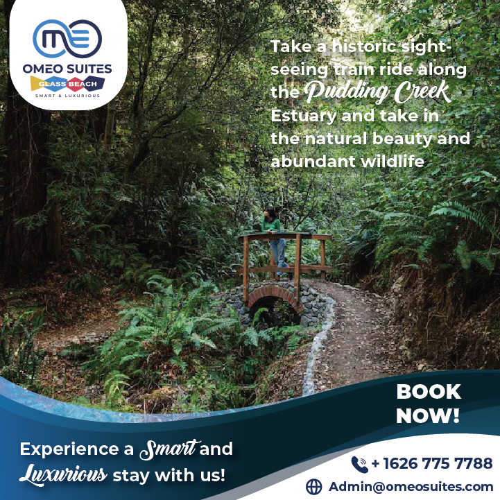 Omeo Train Ride along the Pudding Creek