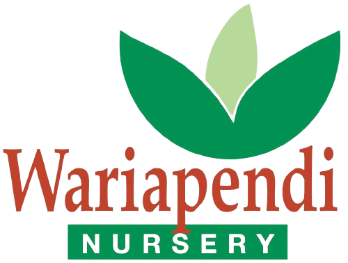 Wariapendi Native Nursery: Native Garden Centre in the Southern Highlands of New South Wales