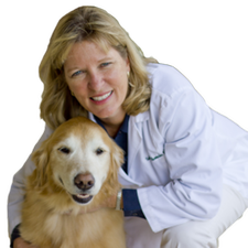 Dr. Valerie Alexander — Murrells Inlet, SC — Murrells Inlet Veterinary Hospital