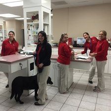 Technicians Team — Murrells Inlet, SC — Murrells Inlet Veterinary Hospital