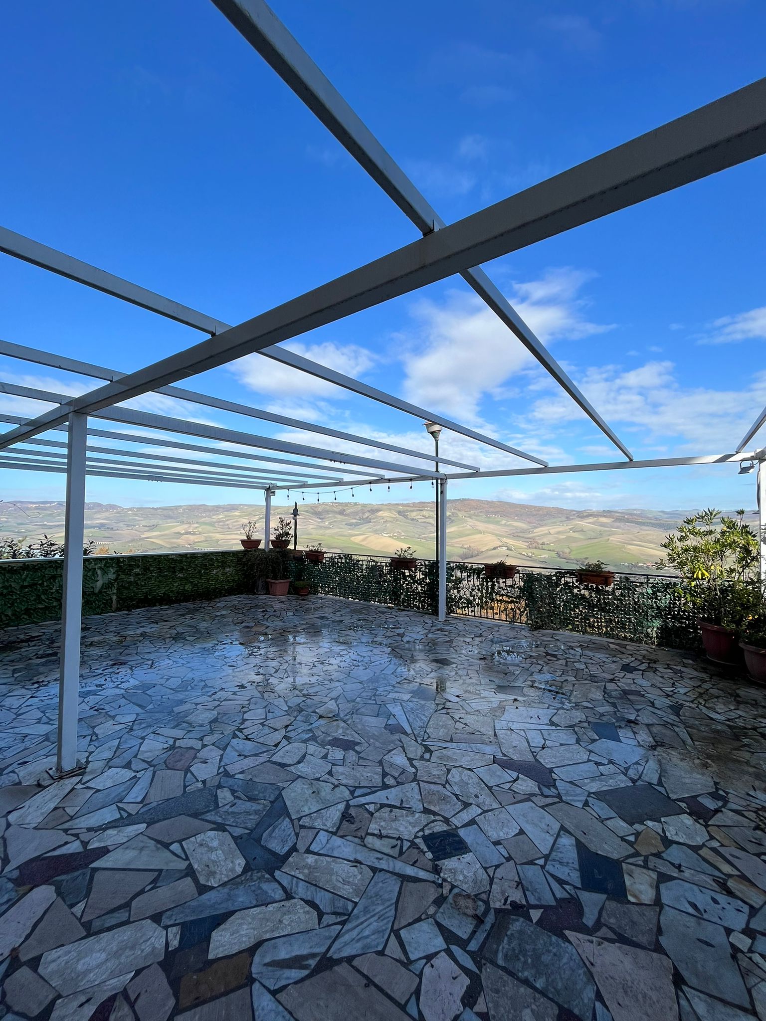 antica trattoria pizzeria zia michelina