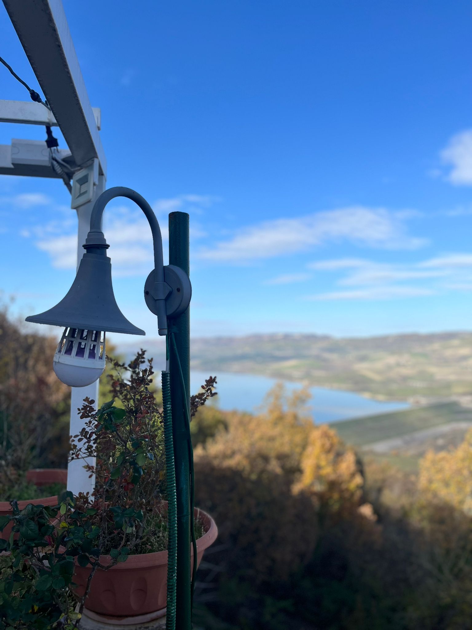 antica trattoria pizzeria zia michelina