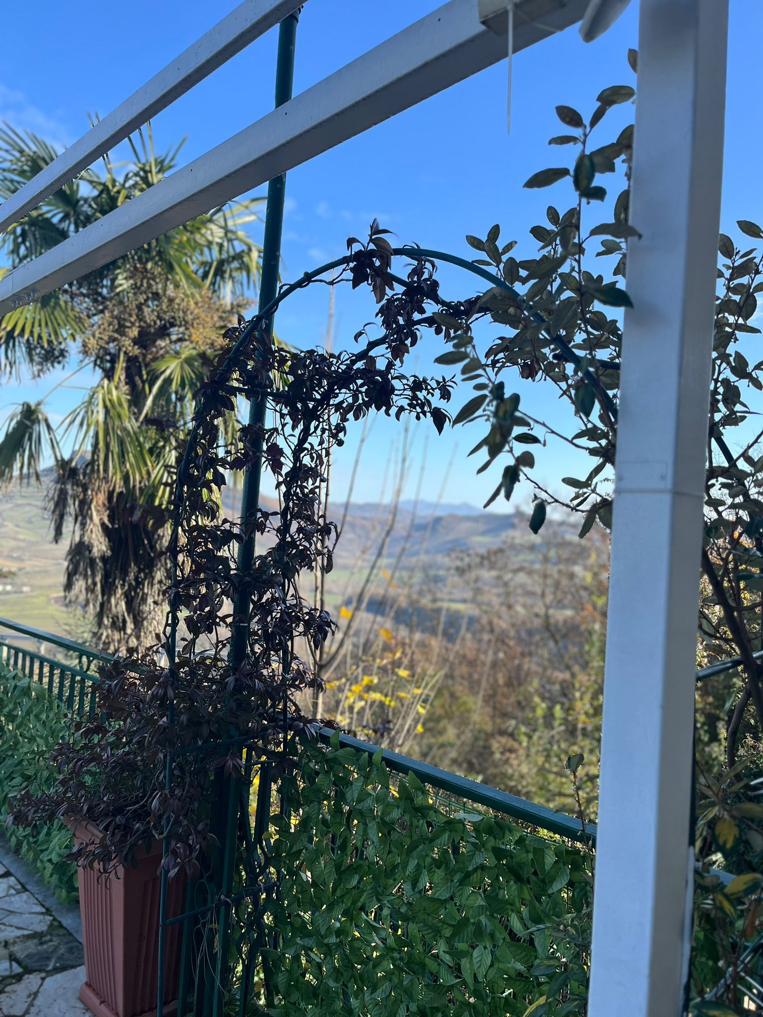 antica trattoria pizzeria zia michelina