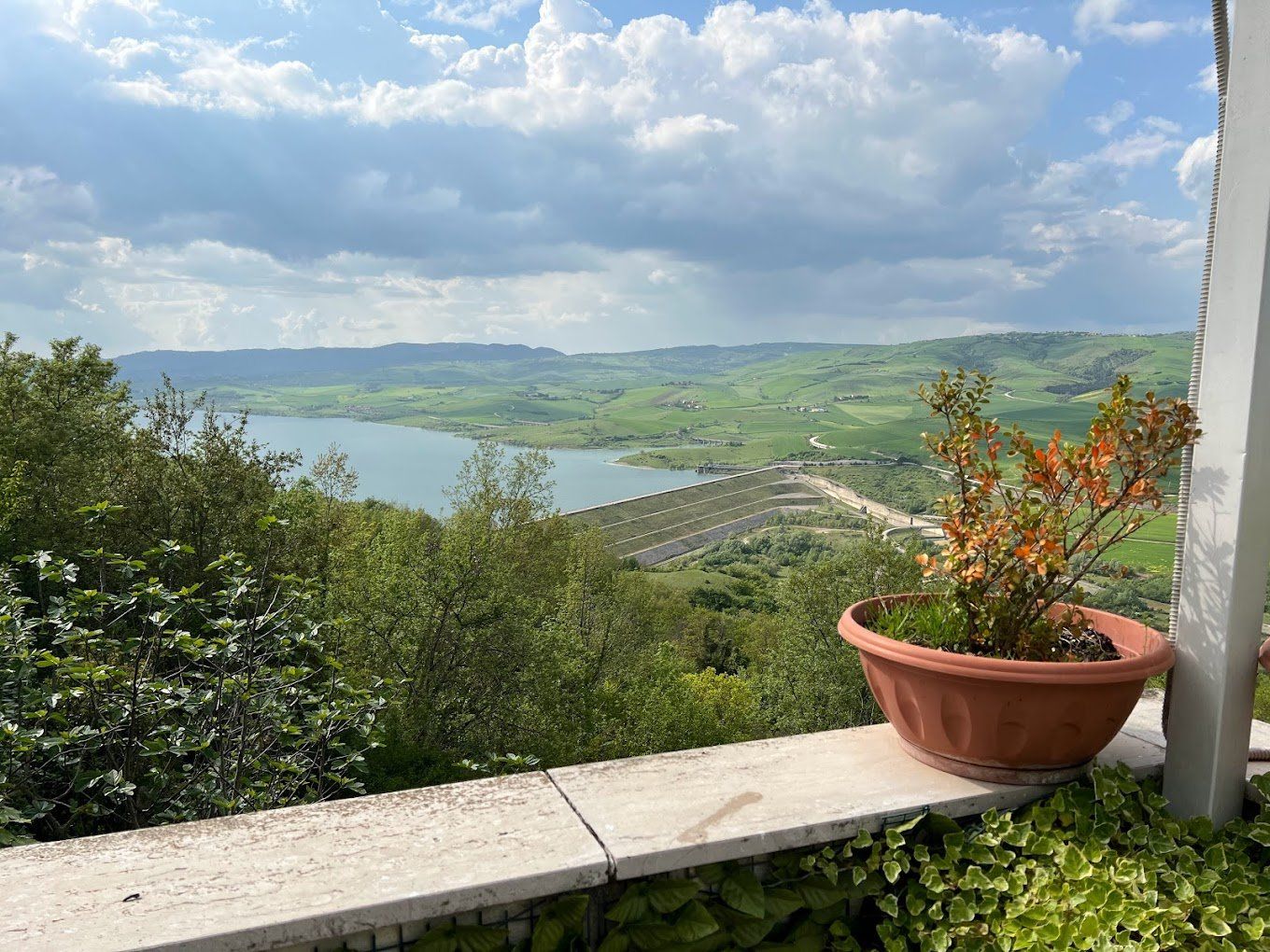 antica trattoria pizzeria zia michelina