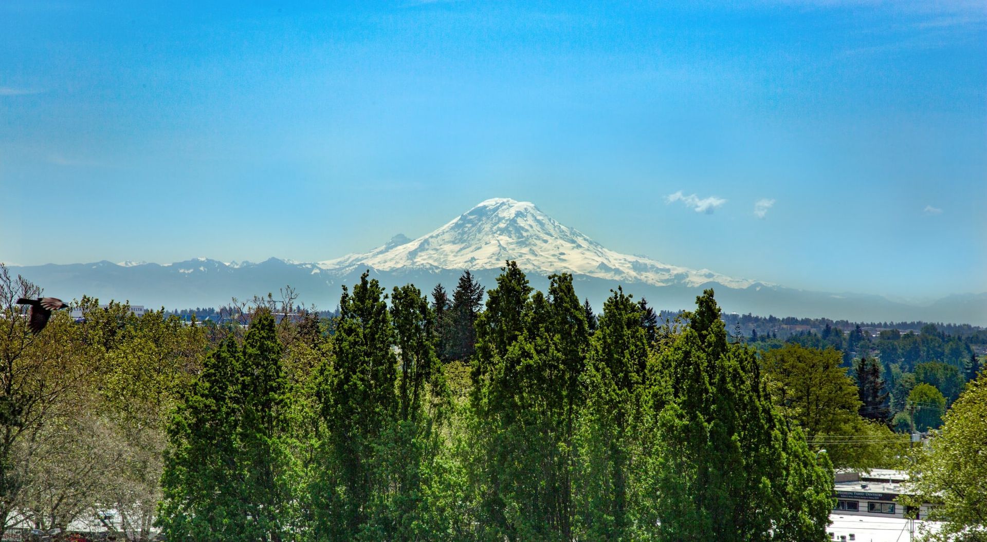 Mt. Rainier at The Maverick in Burien, WA.