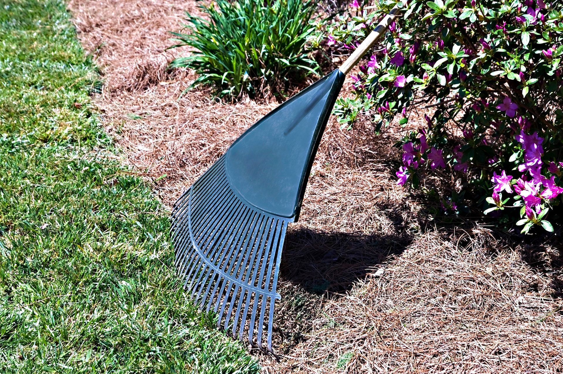 A black and silver garden rake leans against a brown mulch bed next to green grass and plants with pink flowers.