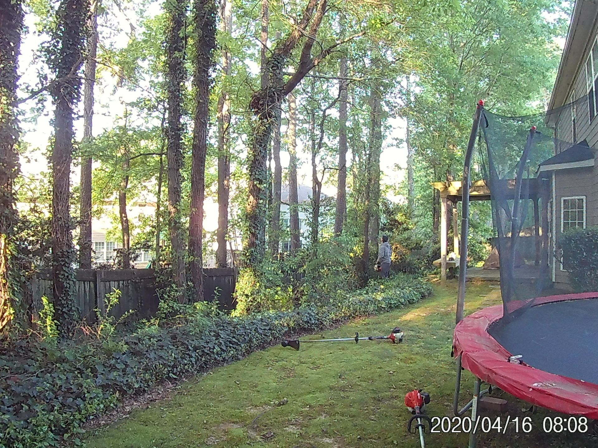 a person is using a hedge trimmer to trim a bush