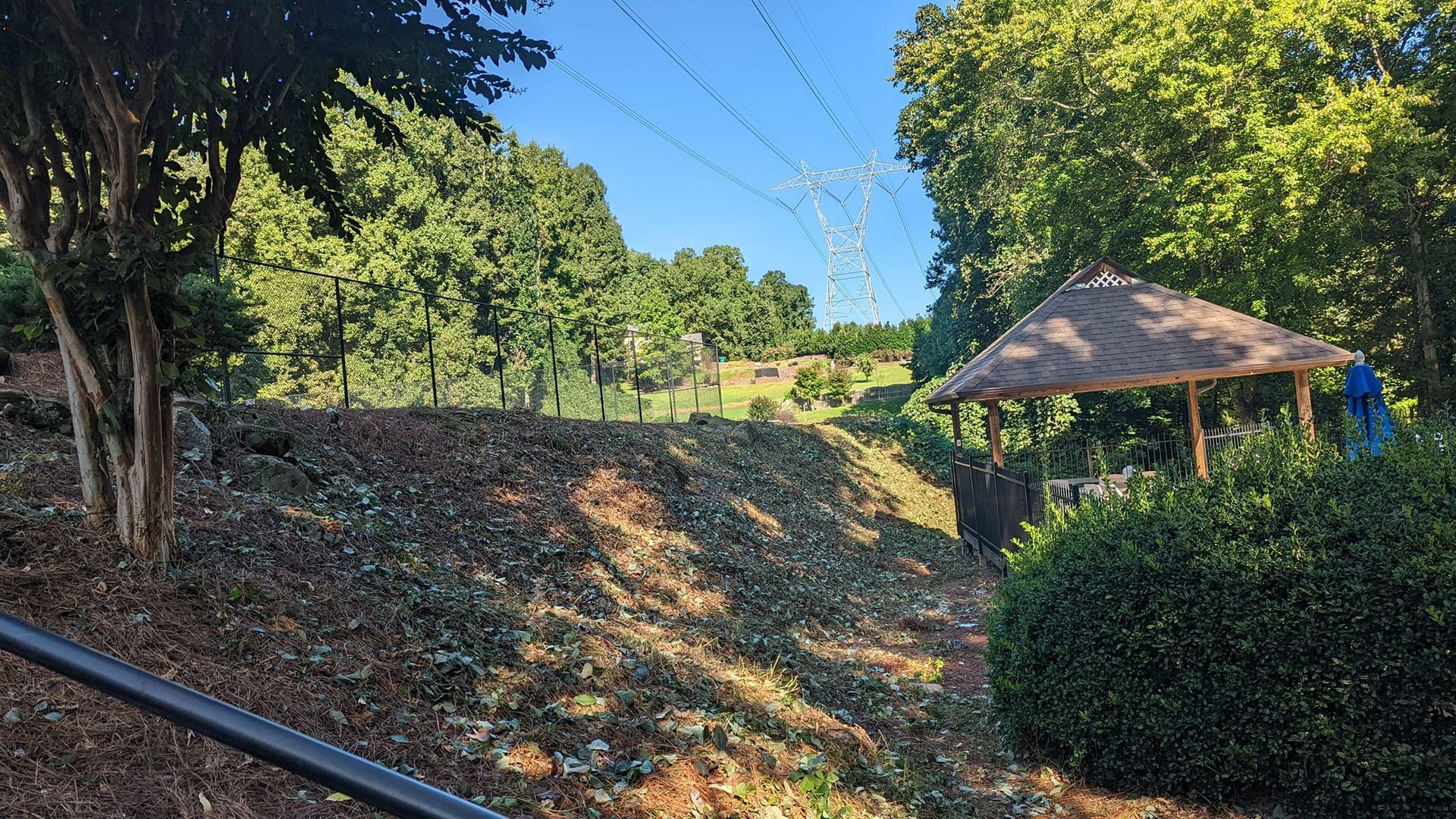 a lush green forest with a gazebo in the middle