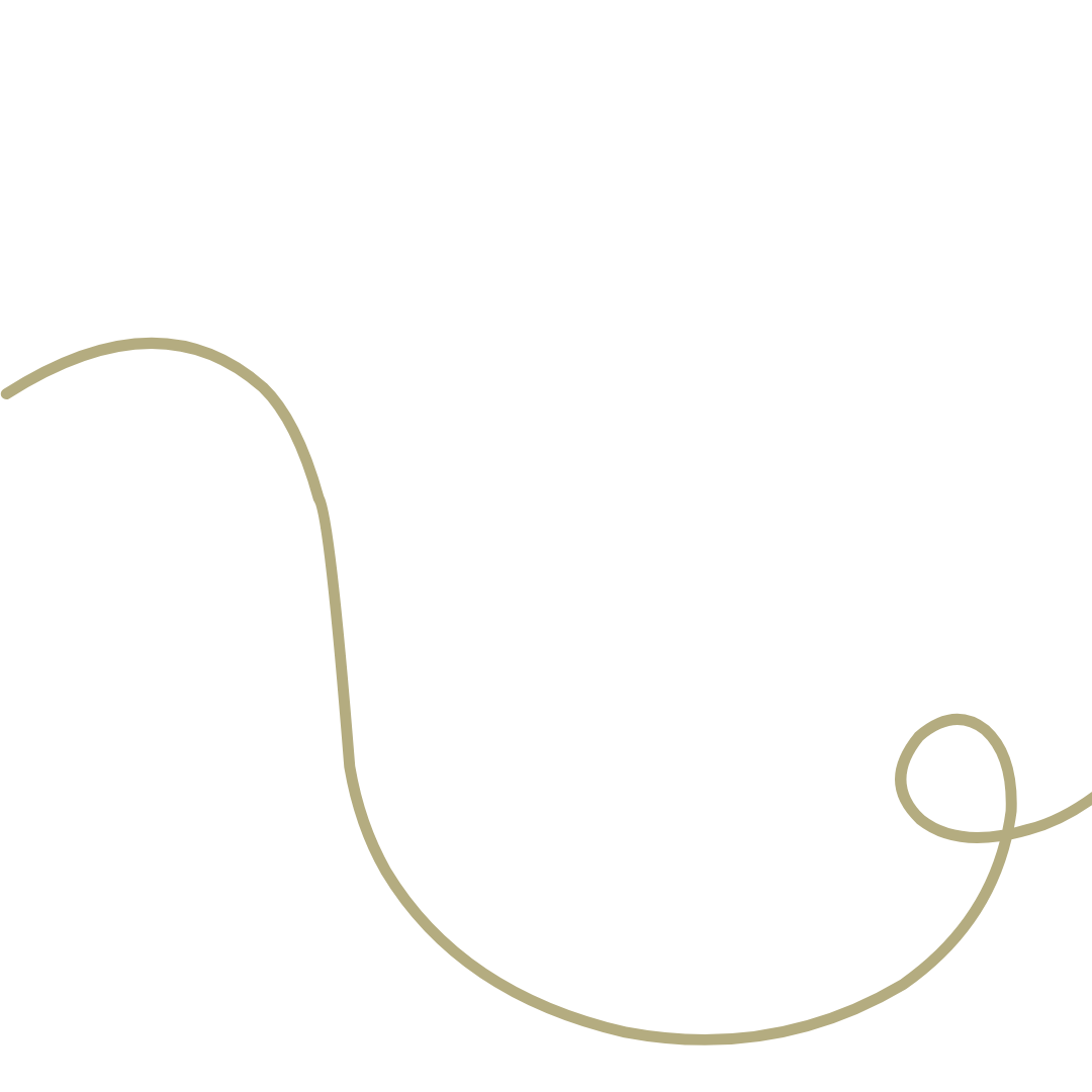 Un disegno di una corda su uno sfondo bianco.