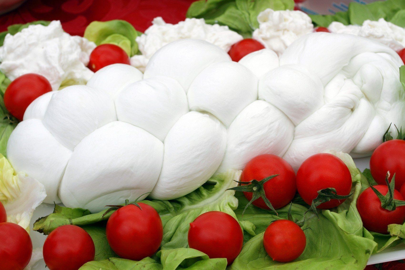 treccia di mozzarella