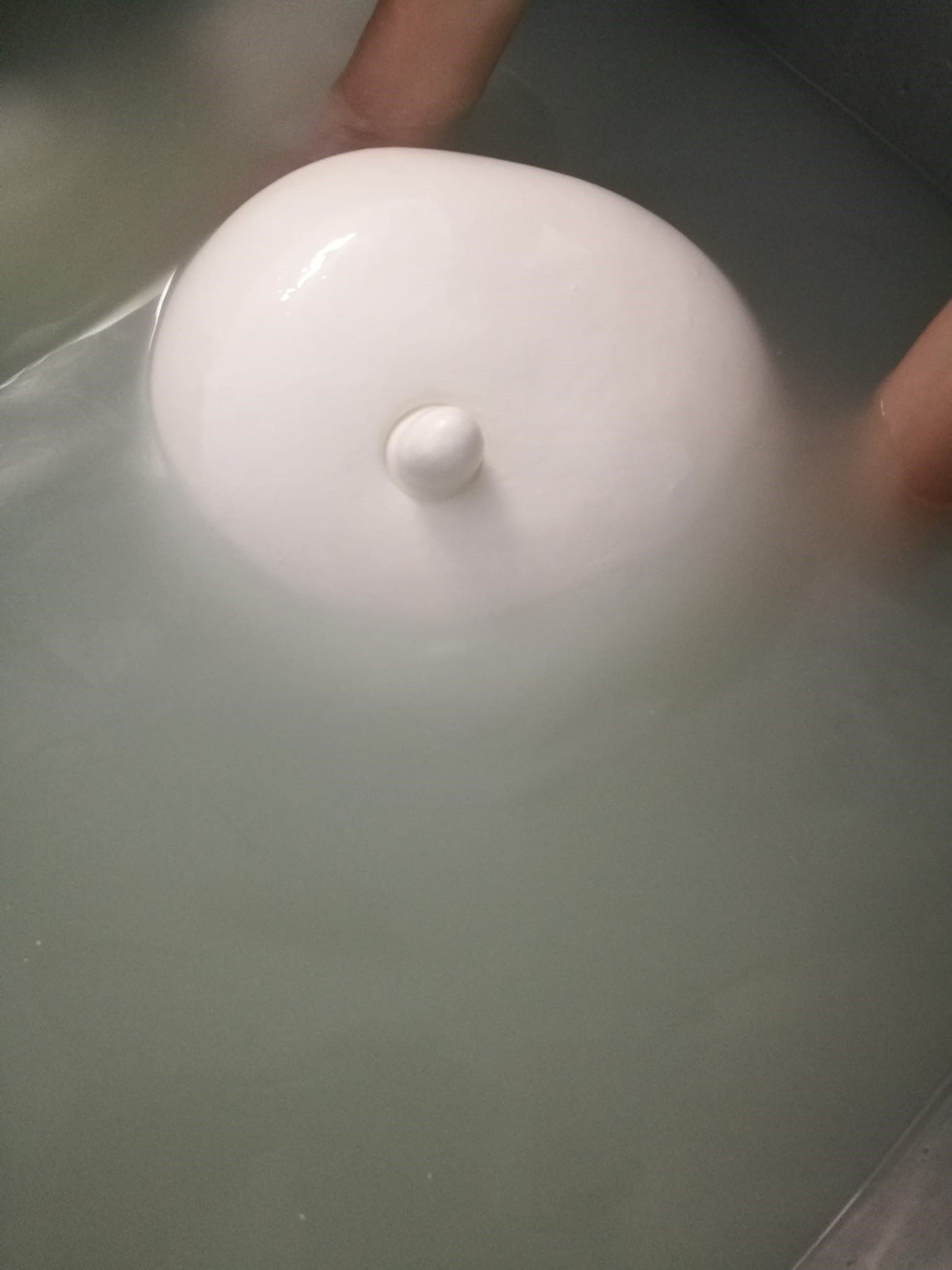 mozzarella di bufala