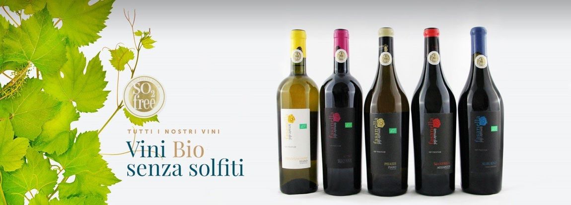 Un gruppo di bottiglie di vino sono allineate in fila.