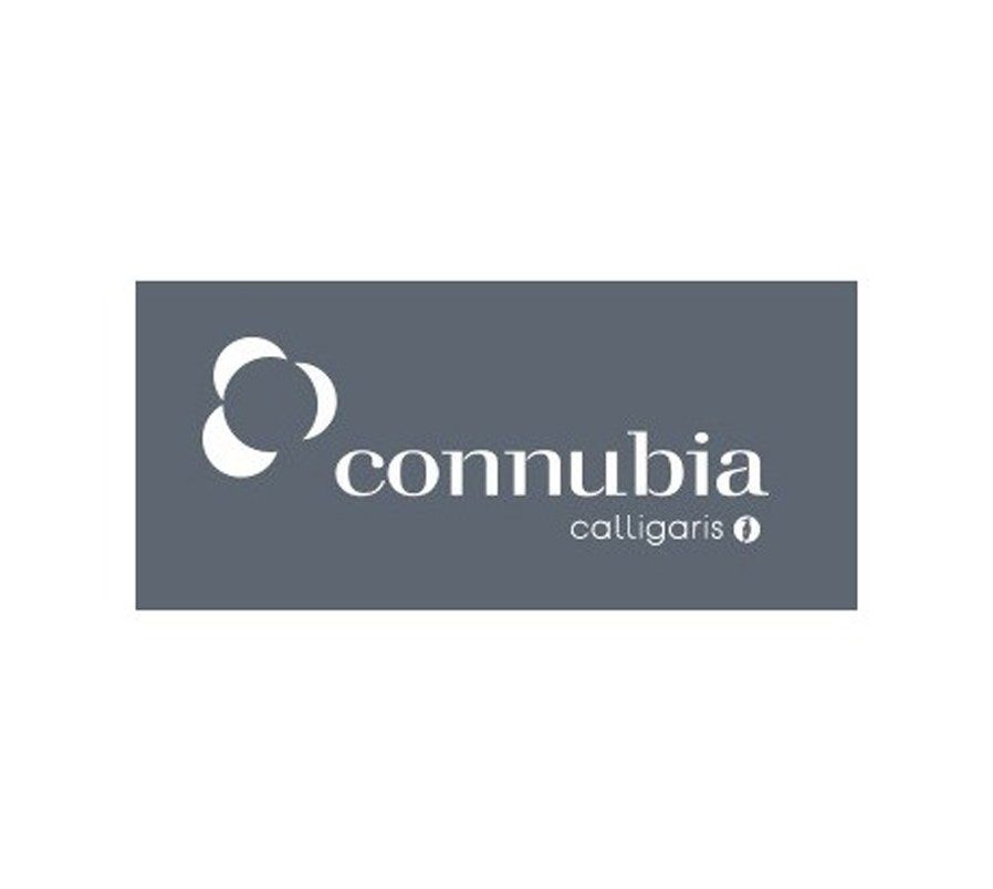 logo connubia