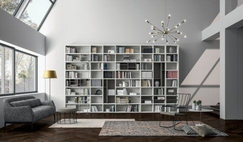elegante salone con ampia libreria