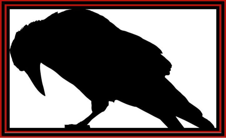 a silhouette of a black bird with a red frame on a white background .