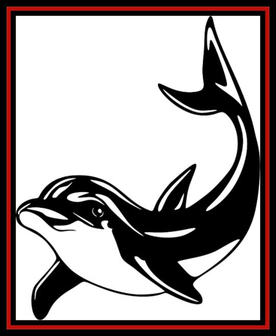 a black and white drawing of a dolphin with a red frame .