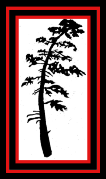 Douglas Fir Tree Metal Art