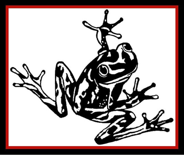 Frog Metal Wall Art