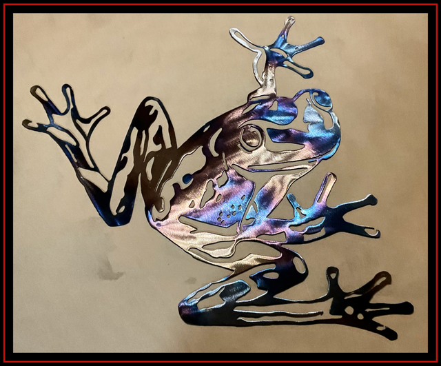 a metal frog with a red frame around it