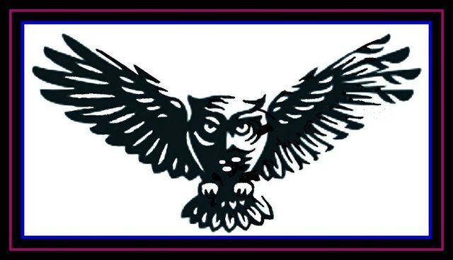 Owl Metal Wall Art